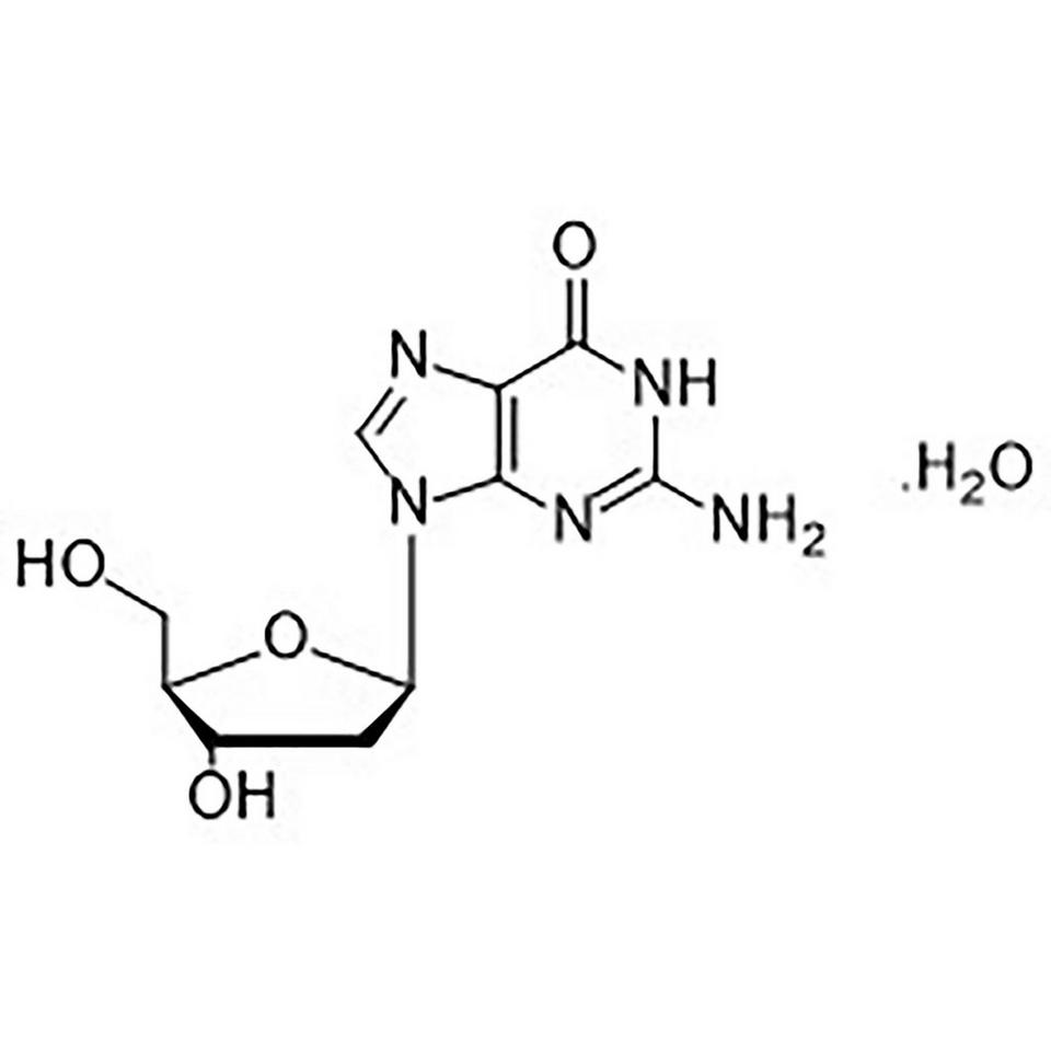 dG (2'-Deoxyguanosine Monohydrate)